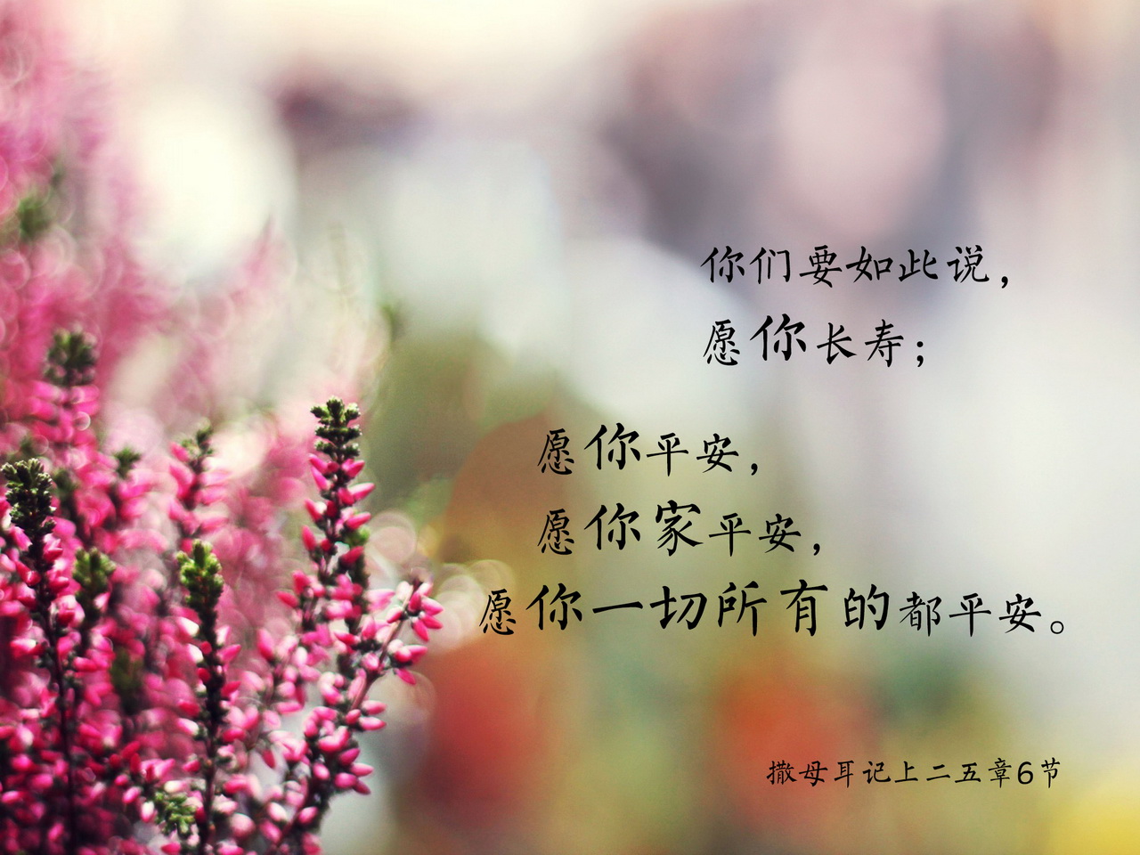 一天一祝福 17 新人喂养