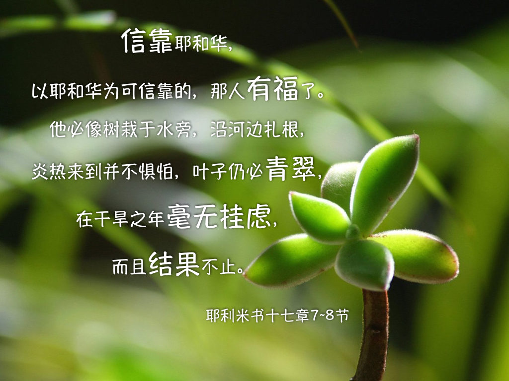 祝福满满 第5页 新人喂养