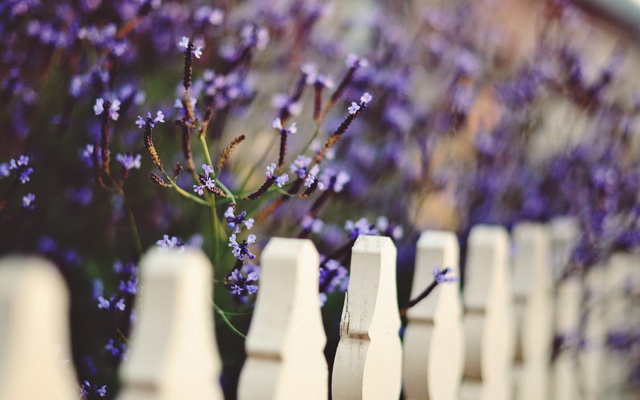 经文美图 祝福满满 新人喂养